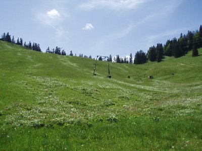 Trassenverlauf von der Seite