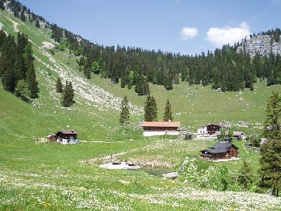 Blick auf die Untere Firstalm, samt Talstation des Nordhangliftes