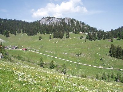 Blick zu den den Firstalmen