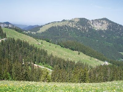 hier ist gut die Seitenansicht der Trasse des Osthangliftes zu erkennen (HU 140m L.:606m)