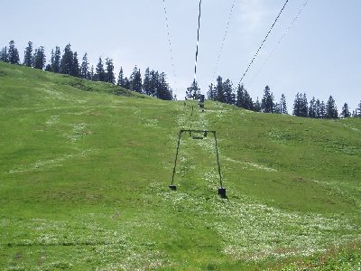 Trassenverlauf Nordhanglift