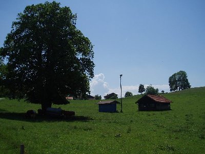 Flutlichmasten hams auch!