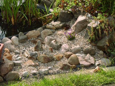 Steine aus den Alpen