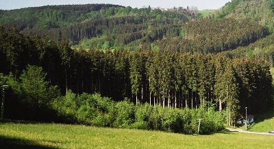 Piste mit Blick auf Trasse