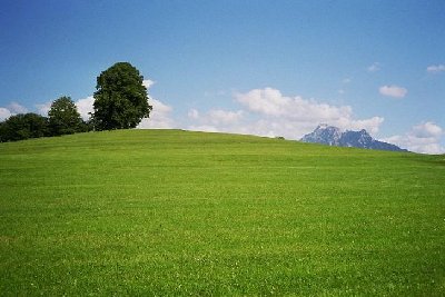 LSAP Hopfen am See; Trasse