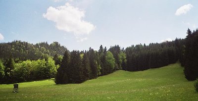 Unterhalb Falkenstein. LSAP-Hang?