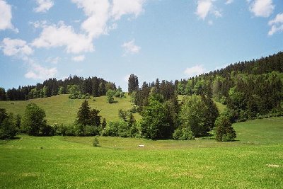 Vermutlicher LSAP-Hang bei Eisenberg (Dolderhalde?)
