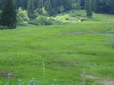 Auspflockung für Beschneiungsanlage?