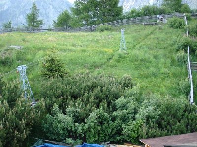 DSC00374 (Small).JPG