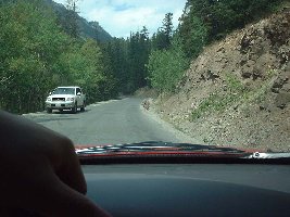 Die Zufahrtsstraße, mit netten Tierchen am Straßenrand (nicht der weiße, sondern die braunen :))