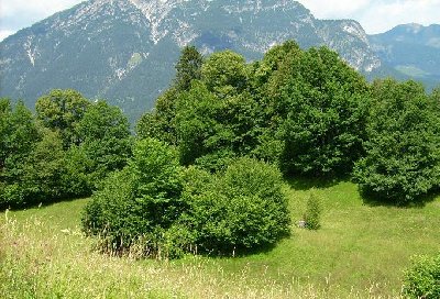 Blick auf Umgebung mit Fundament.