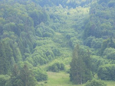 Zoom nach oben. Alles schon sehr eingewachsen...