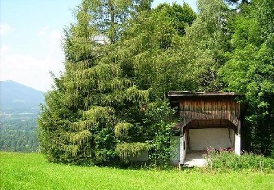 Talstation von weiter weg...