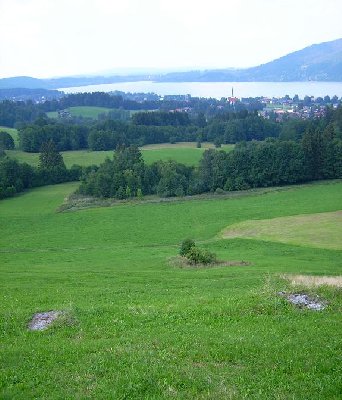 Bei den Bäumen war wohl die Talstation; in der Mitte der Wiese weitere Fundamenteste