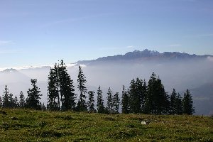 Wieder mal ein OT Bild: Steiner Alpen ragen aus dem Wolkenmeer. Dankt unserer inoffiziellen Forumsfotografin, das ihr noch was anderes zu sehen bekommt als nur Liftstützen &amp;amp; Bagger!
