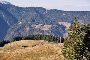 Zum Vergleich: selbe Stelle im Vorjahr