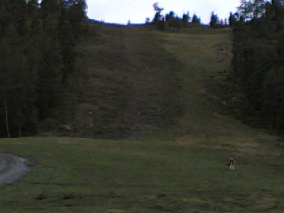 Radersteilhang im zoom.<br />Täuscht mich das, oder wurde der Sreilhang verbreitert, weil links sieht es aus, als hätten sie Bäume ausgerissen und planiert???!!!