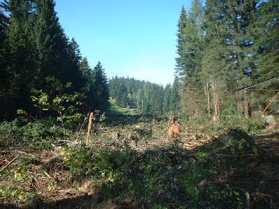 Standort in der Lifttrasse Richtung Berg