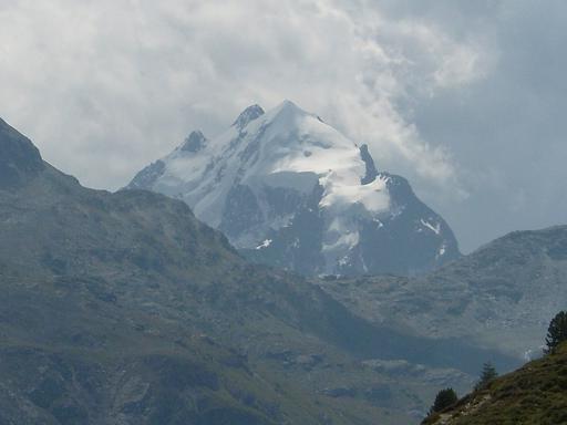 Piz Roseg (fast 4000m)