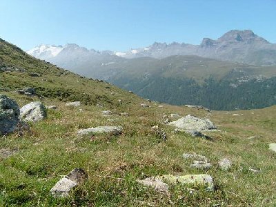 Dahinter ist das Val Fex