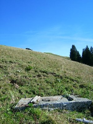 Bin die Schlepptrasse entlang nach oben gelaufen...
