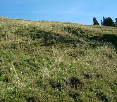 ganz schön steil, war der!