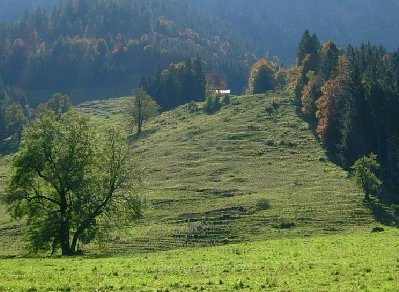 Trasse der beiden Lifte (der längere ging bis zur Hütte hoch)
