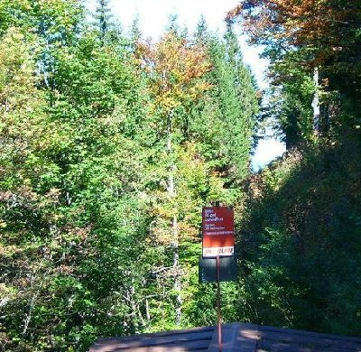 Hier kam die alte ESB durch den Wald hinauf