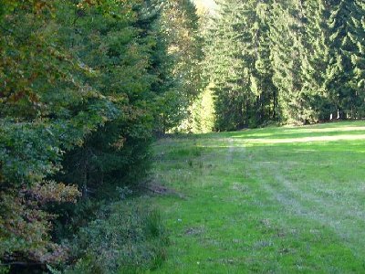 untere Trasse nach &amp;quot;Kurve&amp;quot;