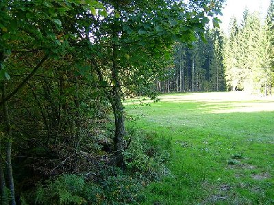 Blick nach unten. Vmtl. ein Kurvenlift?