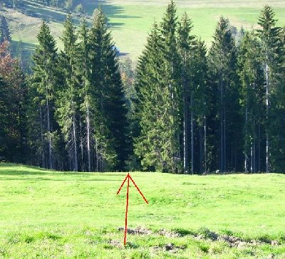 Hier kam der Walthersalplift aus dem Wald herauf