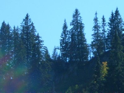 Auf dem Rückweg entdeckt...