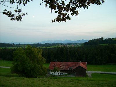 Am Schluss spürte ich meine Beine nicht mehr...