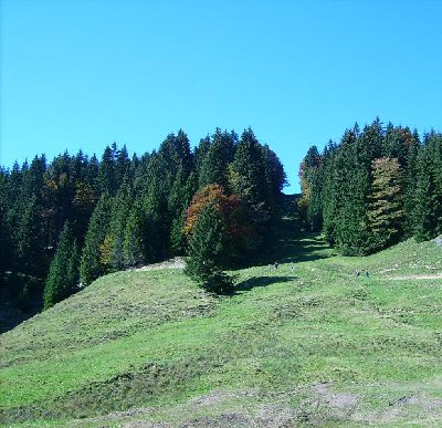 Ex-Lifttrasse am Osthang d. Fluh?