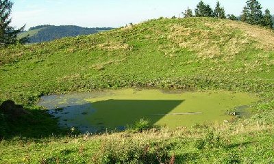 Deutschlands dreckigster Tümpel