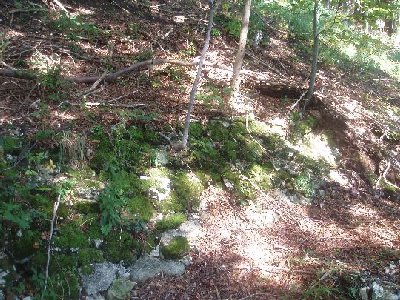 Stein hält halt...;)