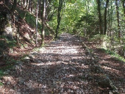 die ehemalige Trasse und der Bahndamm ist auch nach über 100 Jahren gut zu erkennen