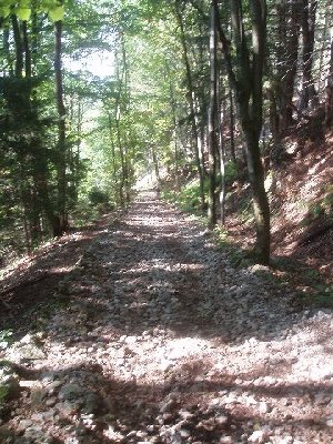 noch besser zu erkennen