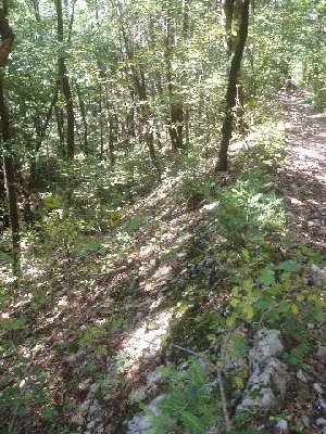 jetz wirds deutlicher