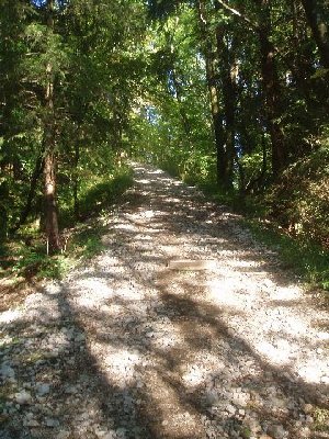 unterhalb der Zistelalm kann man erst schwer den Damm der Zahnradbahn erkennen; eine erneute Inbetriebnahme der Bahn wäre aufgrund der Kanalisation usw. schwer zu machen....