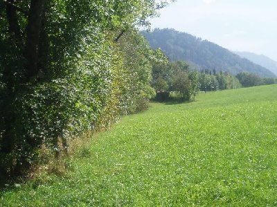 hier müßte auch die Talstation des einen Liftes gewesen sein