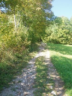 nebendrann liegt auch schon die Trasse der Zahnradbahn