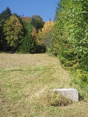 am Waldrand oben muß mal die Bergstation gelegen haben..