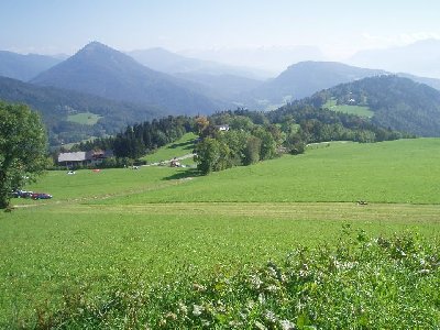 Blick auf die Zistelalm und dden vorunsliegend Hang, wo ich noch ein Stütztenfundament eines ehemaligen SL entdeckte...