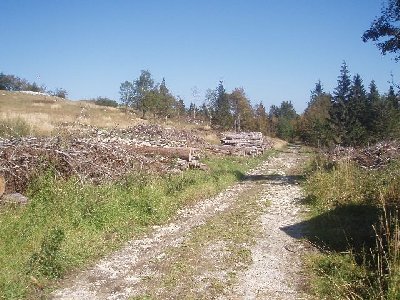 oberer Teil der Trasse kurz vorm Gipel