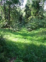 Jo, das ist für Hamburger Verhältnisse schon recht steil.