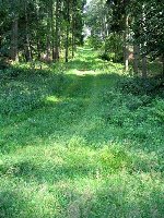 Vom Lift existiert leider nur noch die Trasse.