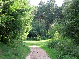 Wir nähern uns dem &amp;quot;alpinen&amp;quot; Gelände.