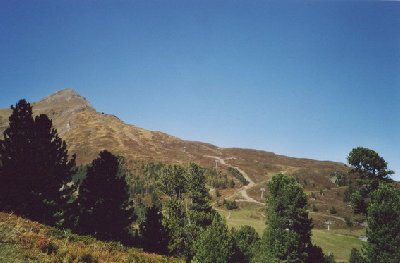 Hier nochmal das gesamte Trasse