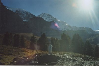 Hier werden offenbar bereits Halterungen für die Scheilanzen aufgebaut